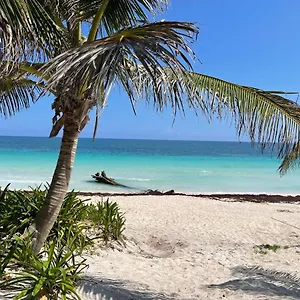 https://casa-phoenix.quintano-roohotels.com